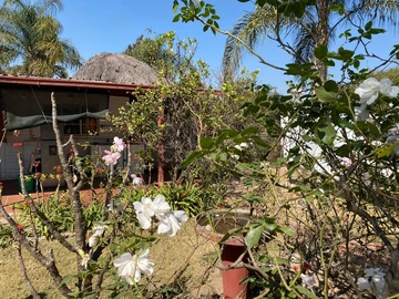 2 Bedroom Cottage