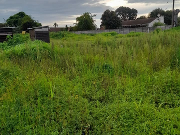 Stands & Residential Land