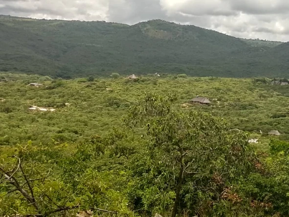 Farm & Agricultural Land