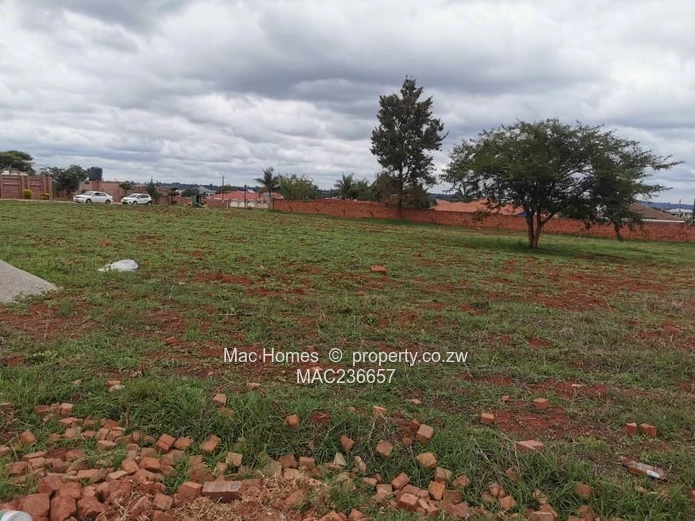 Ready to Build Stand