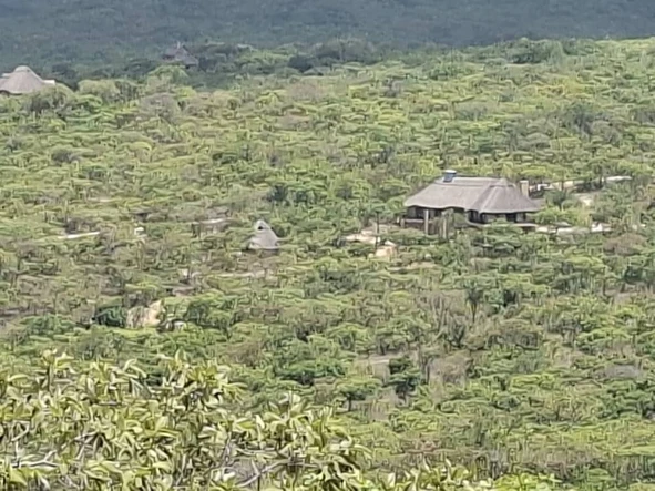 Farm & Agricultural Land