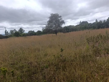 Farm & Agricultural Land