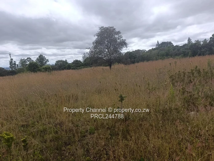 Prime Flat Agro Plot – Ideal for Farming, dwelling & Investment