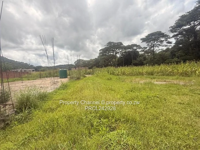 4,800m² Carrick Creagh Stand — Cleared Base & Water Tank
