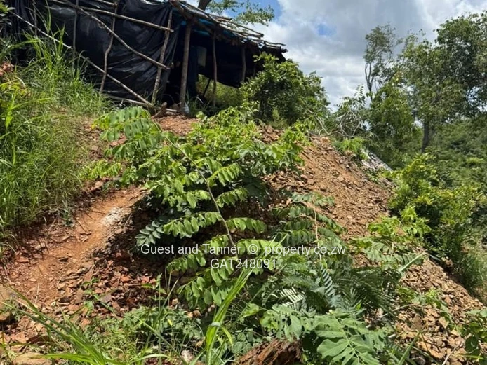 Prime Gold Mining Opportunity: Shamva, Zimbabwe