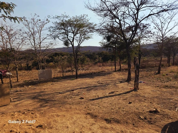 Farm & Agricultural Land