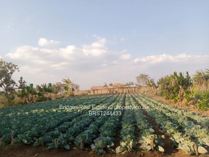 Fully Operational Peri Urban Agro Residential Plot (Sole Mandate)