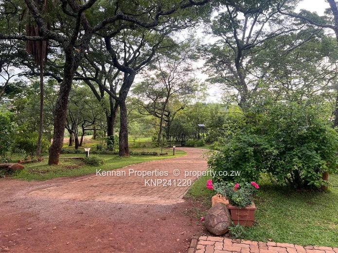 Spacious property on 7,5acres of land with beautiful msasa trees