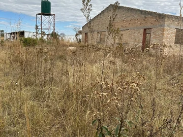 Farm & Agricultural Land