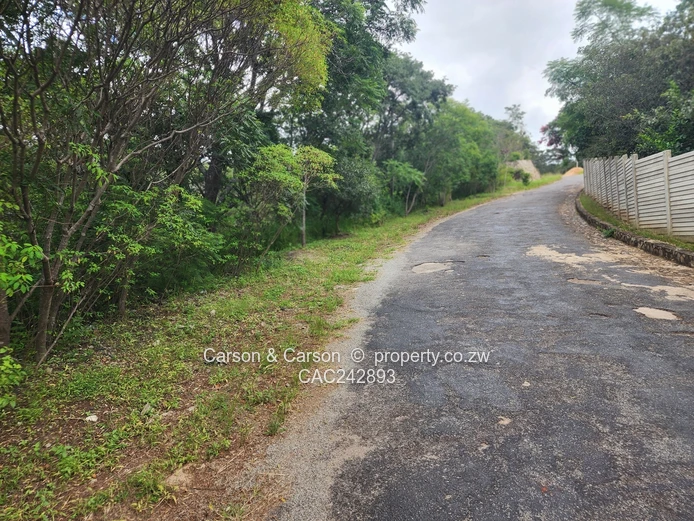 Chisipite 5500m² — Tree-Lined Stand with Tarred Main Road Frontage