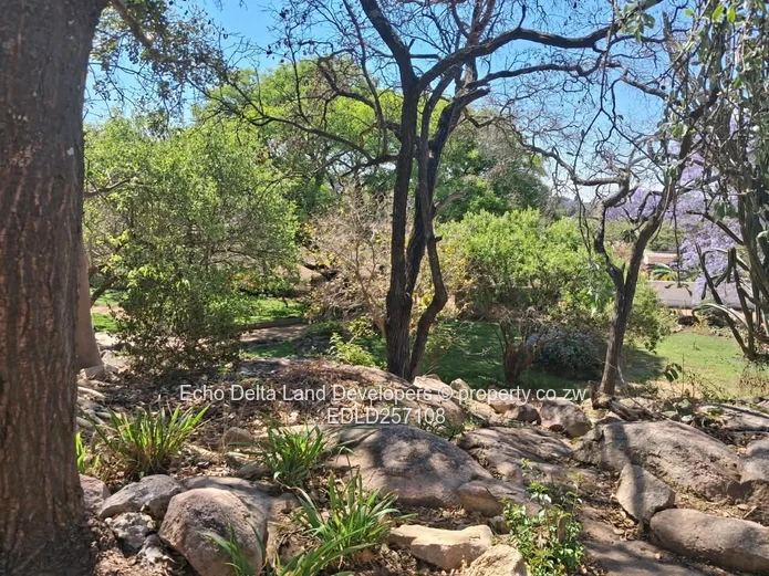 Burnside Bulawayo 