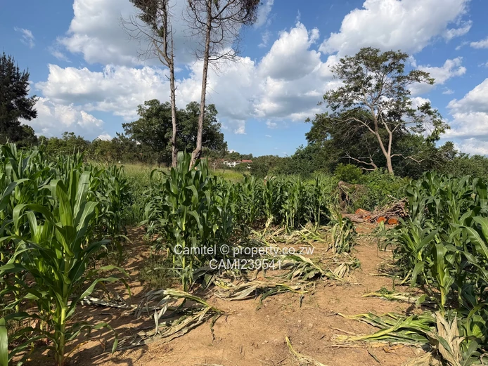 Mabelreign 4995 stand up for sale with clean title deed in between houses