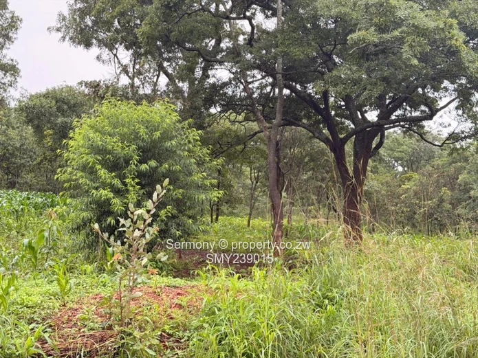 Residential stand for sale