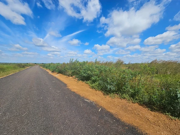 Stands & Residential Land