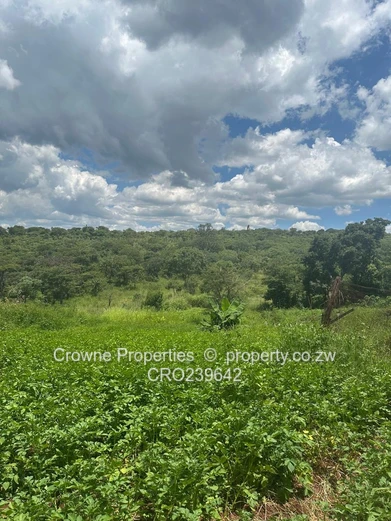 Residential Stand For Sale