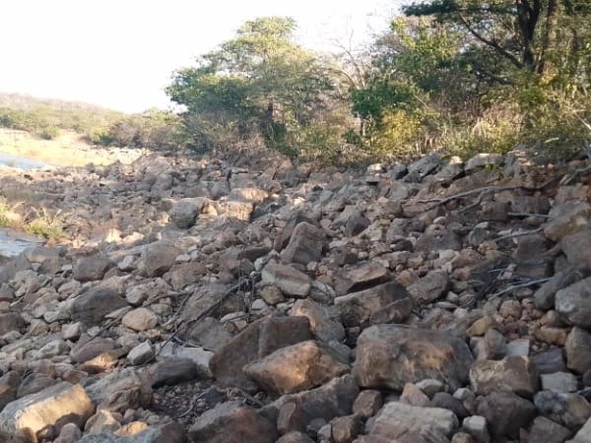 Commercial & Industrial Land