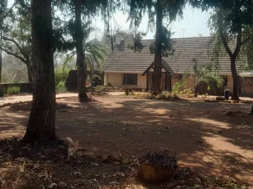 Farm & Agricultural Land