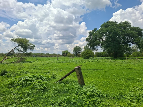 Farm & Agricultural Land