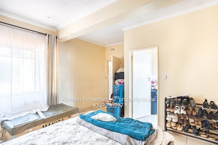 Renovator's Dream - Nostro!