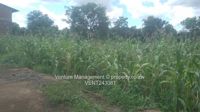 Chiredzi Industrial Property for Sale
