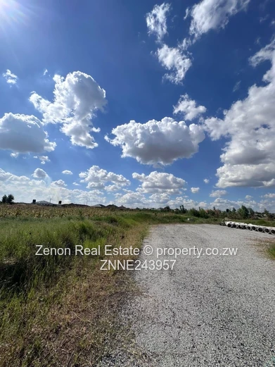 Glenview stands for sale 