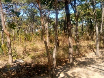 Farm & Agricultural Land