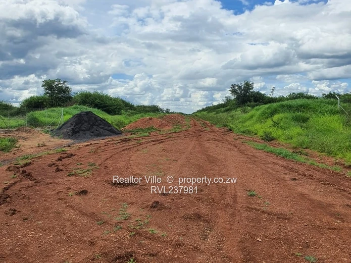 300m² Kadoma Stand — Main Road Frontage, Subdivision Potential (Sole Mandate)