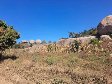 Stands & Residential Land