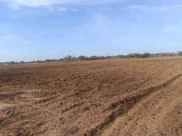 Farm & Agricultural Land