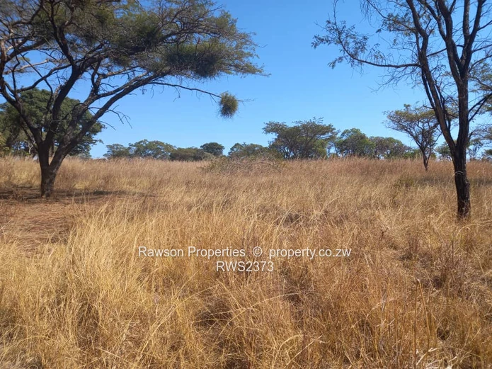 Glen Forest Plot For Sale