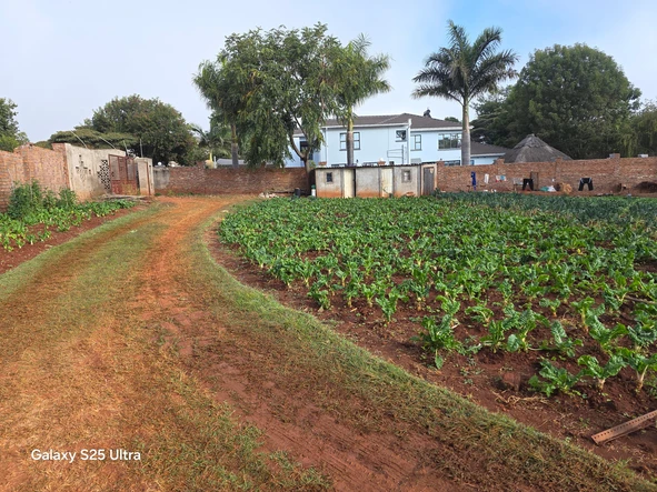 Stands & Residential Land