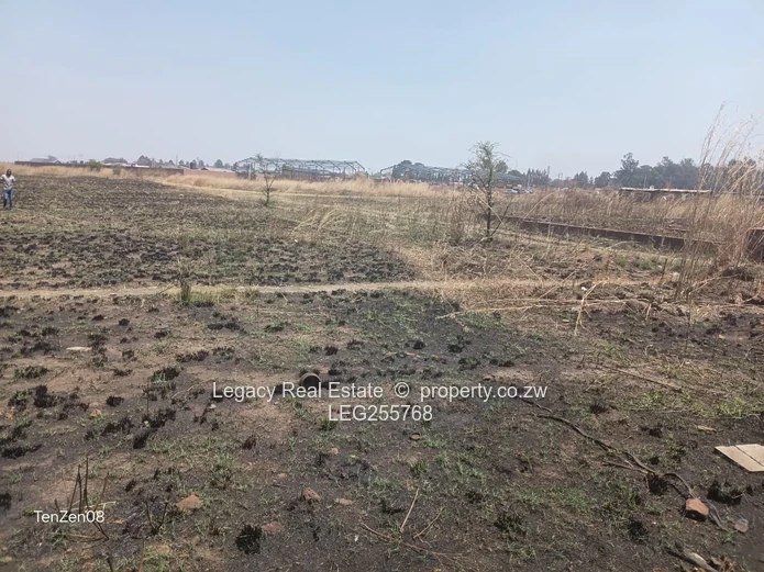 Choice of 2 by 1000m² Fairview Stand — Main Road, Fenced Frontage
