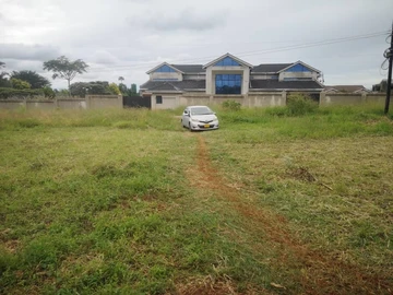 Stands & Residential Land