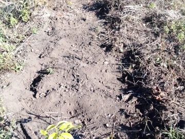 Farm & Agricultural Land