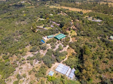 Farm & Agricultural Land