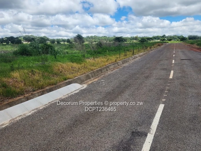 Beautiful stands Borrowdale Kinsley Estate