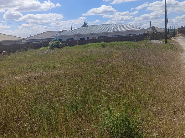 Stands & Residential Land