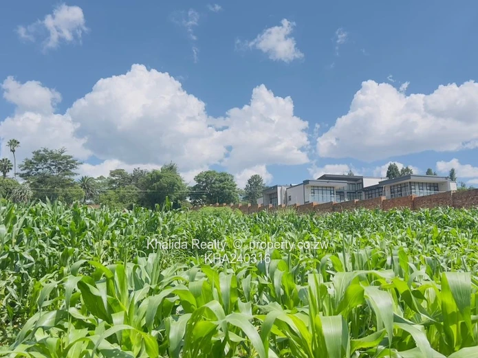 Prime Stand For Sale  In Glen Lorne