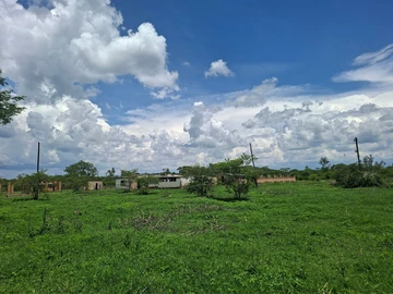 Farm & Agricultural Land