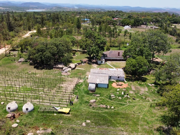 Farm & Agricultural Land