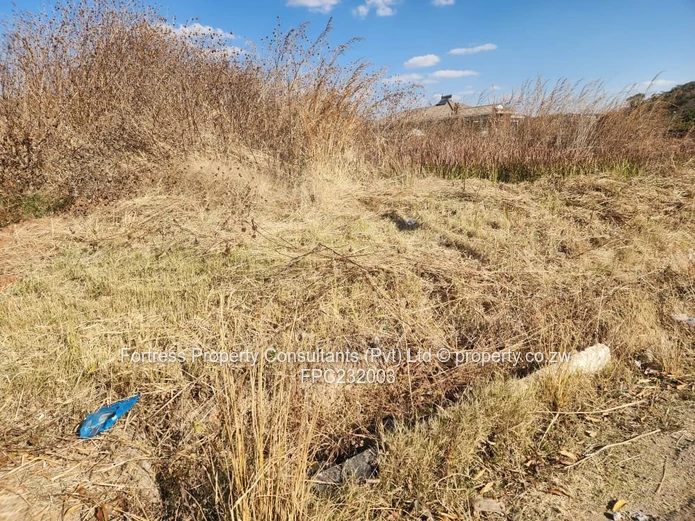 Upmarket Real Estate 