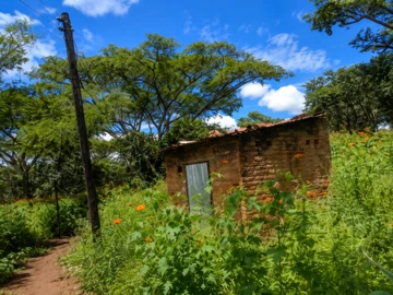 Farm & Agricultural Land