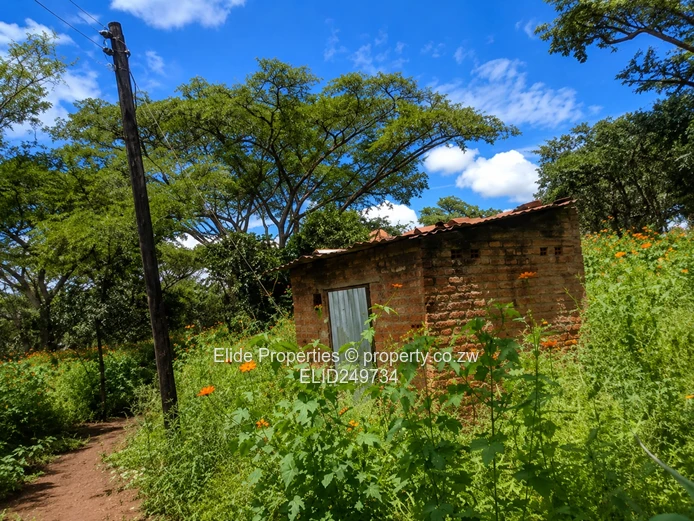Nyabira 37.4ha Farm — Dam, Grazing, Kraal & Irrigation