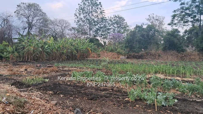 Developer Deal in Highlands