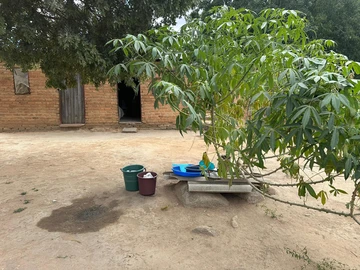 Farm & Agricultural Land