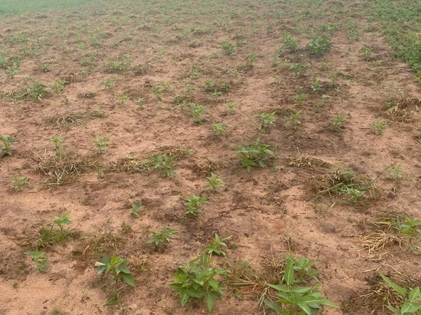 Farm & Agricultural Land