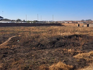 Stands & Residential Land