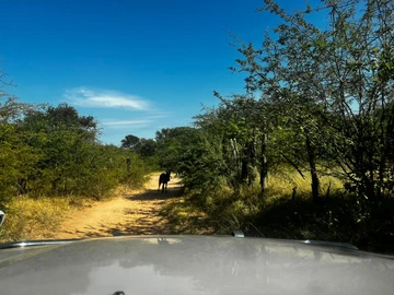 Farm & Agricultural Land