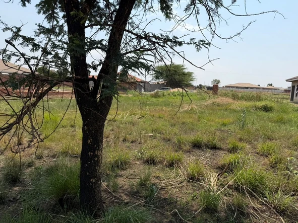 Stands & Residential Land