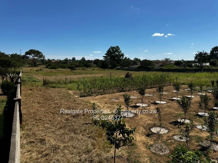 Sunninghill Stand (1 Acer) (Sole Mandate)